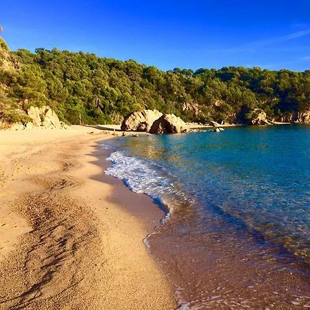 Private Apartments Cala Canyelles 滨海略雷特 外观 照片