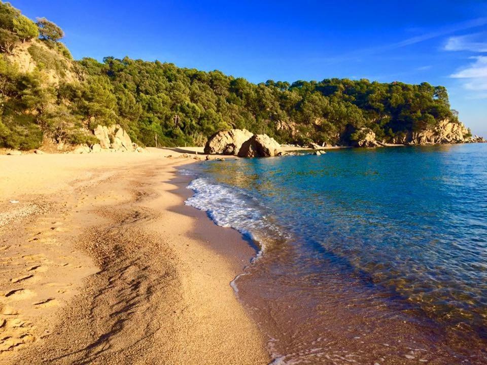 Private Apartments Cala Canyelles 滨海略雷特 外观 照片